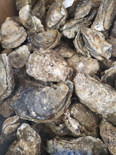 Load image into Gallery viewer, Oyster and Shrimp Bundle