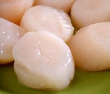 Load image into Gallery viewer, Scallops