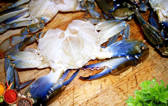 Fresh Frozen Blue Crab Cleaned
