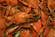 Load image into Gallery viewer, Blue Crab Steamed
