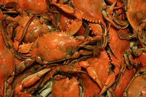 Blue Crab Steamed by the Bushel